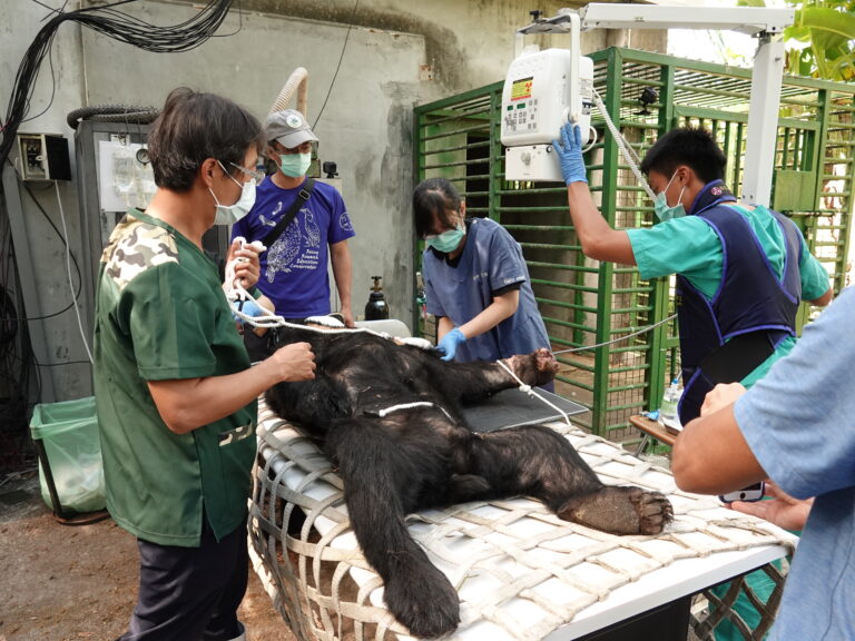 急救站成立30年　救援逾1萬4千野生動物
